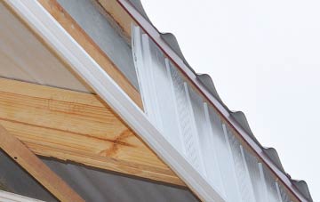 why Newton Poppleford fascia repairs are essential