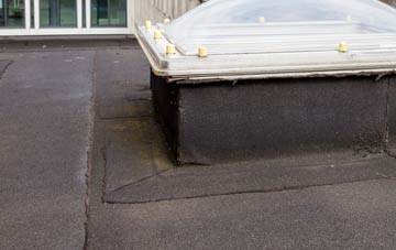 disadvantages of Newton Poppleford flat roofs