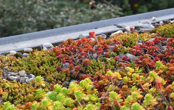 the cost of Newton Poppleford green roof installation