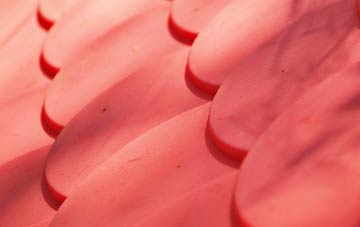 Newton Poppleford plastic roof costs