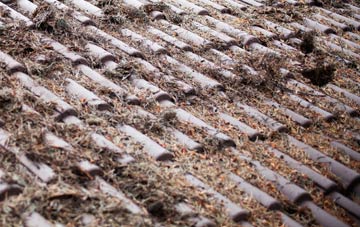 Newton Poppleford roof cleaning companies