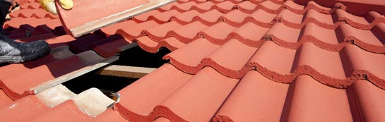 compare Newton Poppleford roof repair quotes