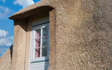 Newton Poppleford thatch roof disadvantages