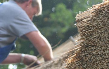 professional Newton Poppleford thatchers