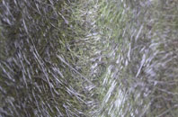 Newton Poppleford fibreglass roof work